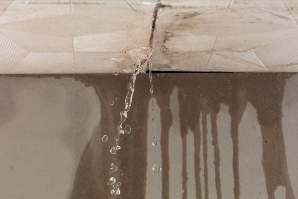Professional Structural Drying technician working in Pursglove, WV